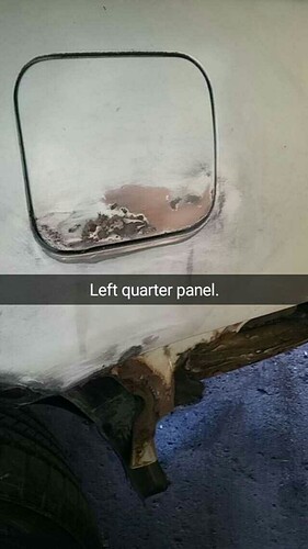 Left Quarter Panel (2).jpg