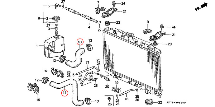 Radiator Hoses Diagram.jpg