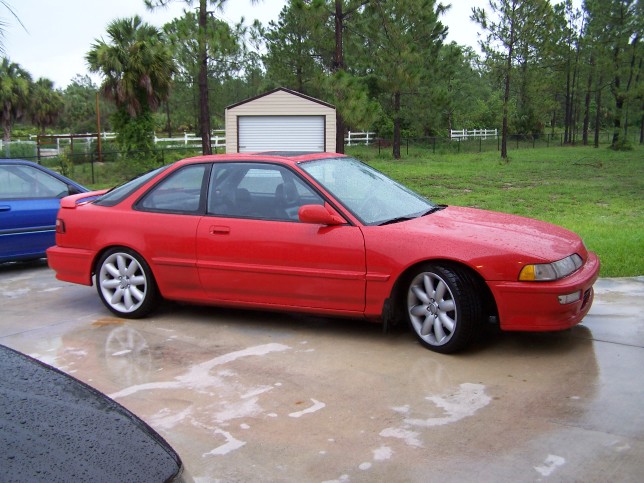 Red Teggy.jpg