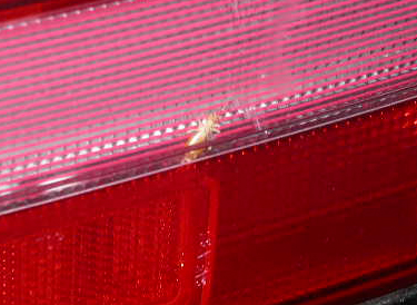 tail light bug1.jpg