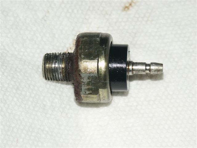 PICT4742.JPG